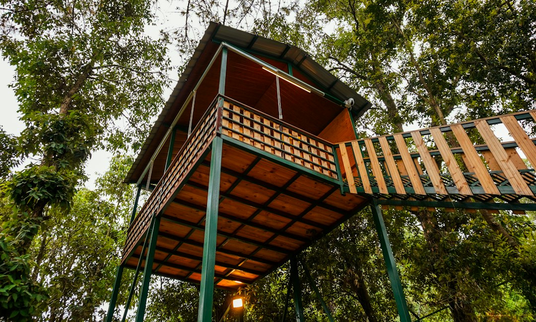 Cabane perchée en bois reliée par une passerelle au milieu des arbres