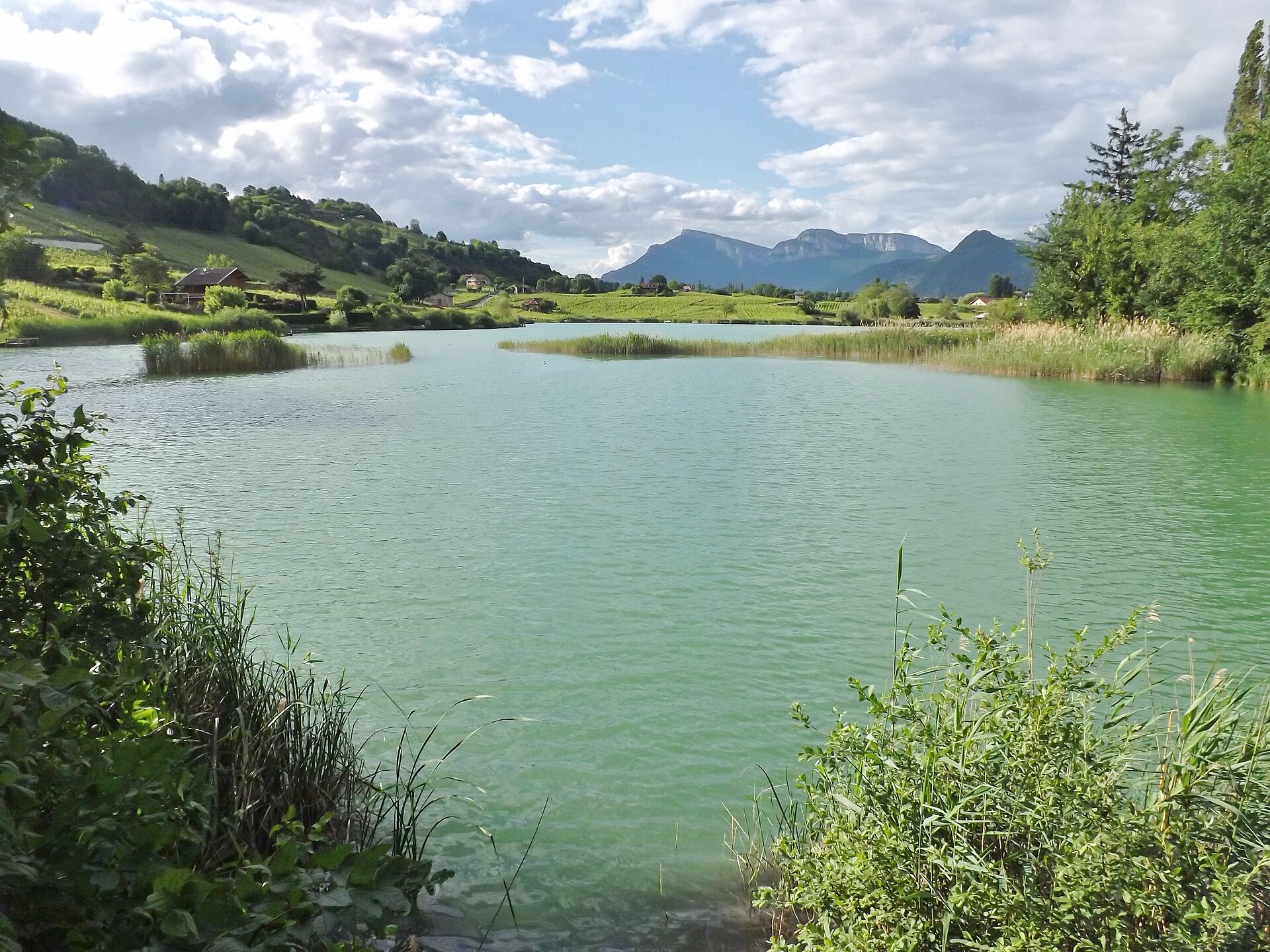 Le lac de Saint-André devant les vignobles des Marches et le massif des Bauges