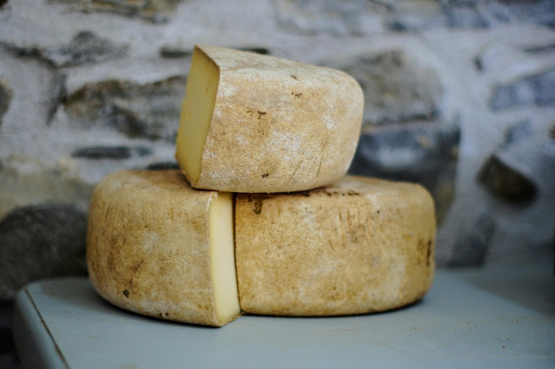 Meules de fromage à pâte pressée entamées