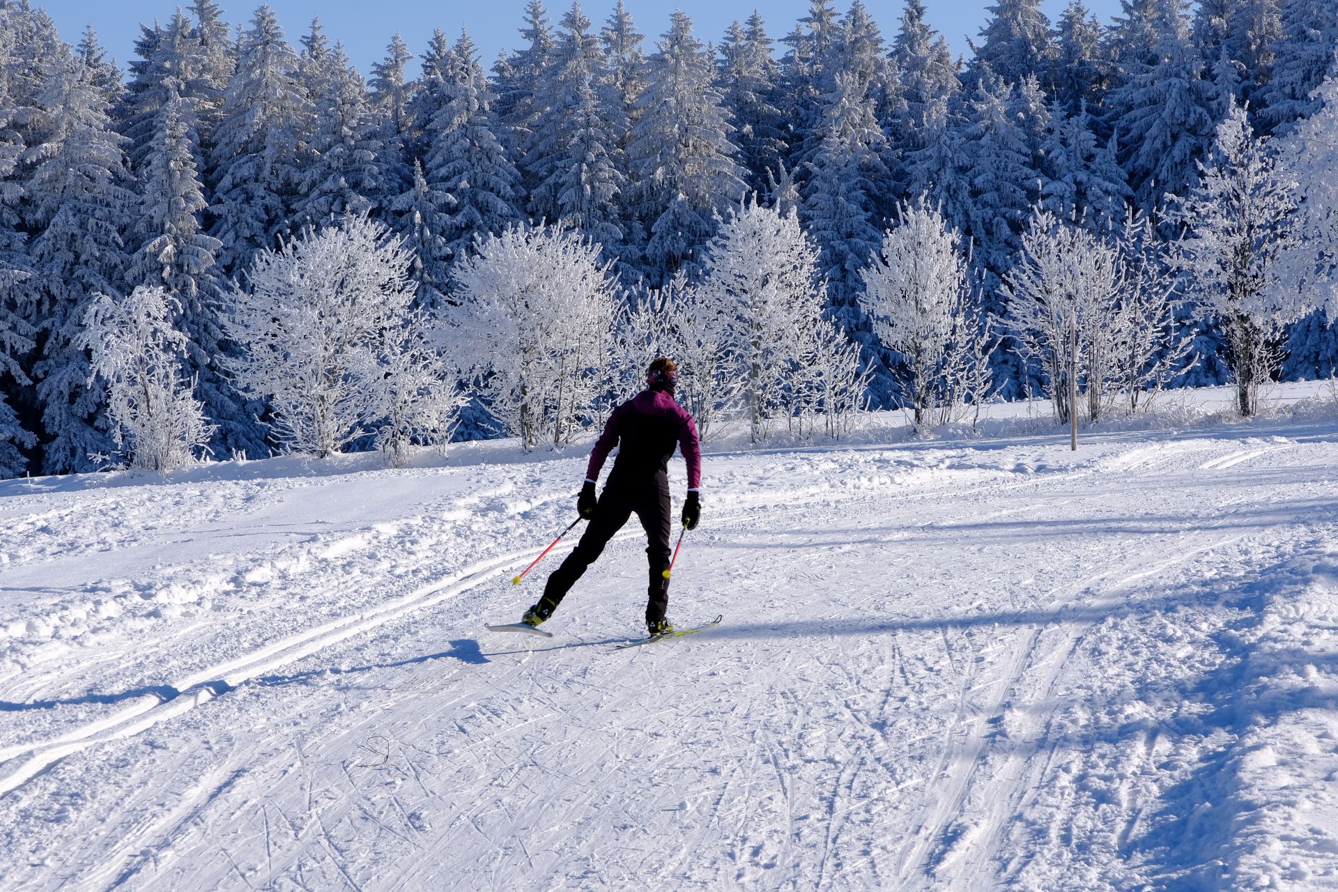 Skieur de fond glissant sur une piste damée en forêt enneigée