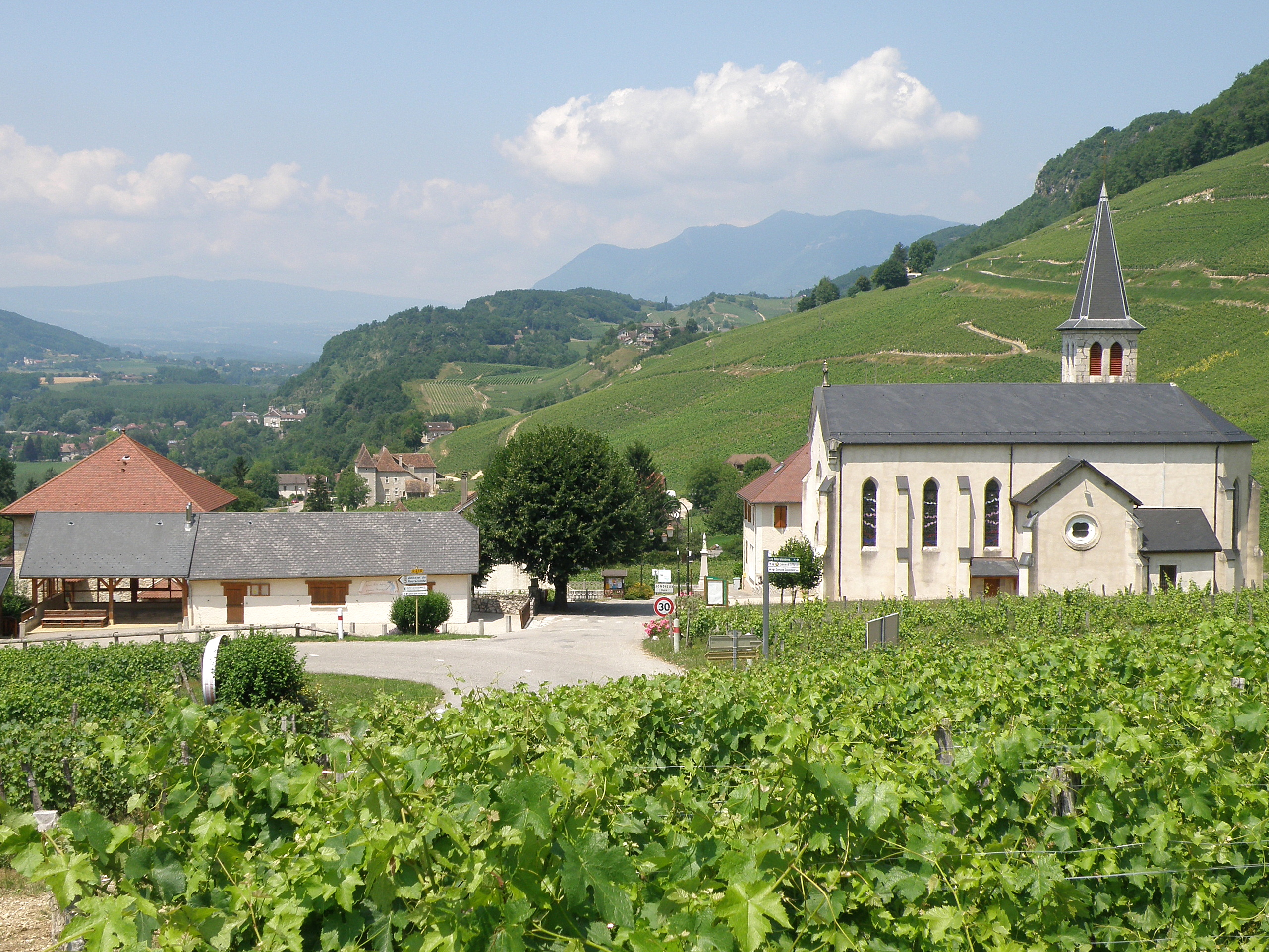 Vue générale de Jongieux et de ses vignes, face à la Dent du Chat